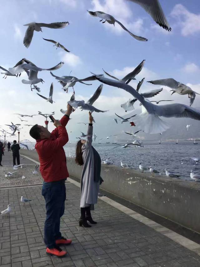 海鸥追剧苹果版苹果追剧app免费下载-第2张图片-太平洋在线下载