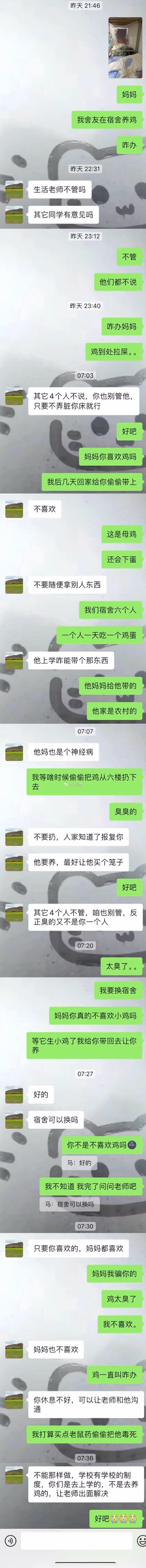 母鸡特效安卓版老母鸡扛枪丢炸弹-第1张图片-太平洋在线下载