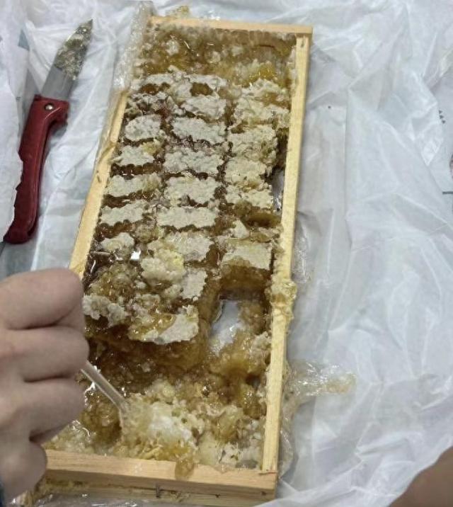 勺子手机客户端怎么下载手机客户端app